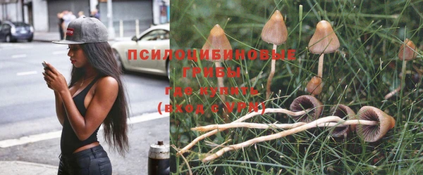 бошки Белоозёрский